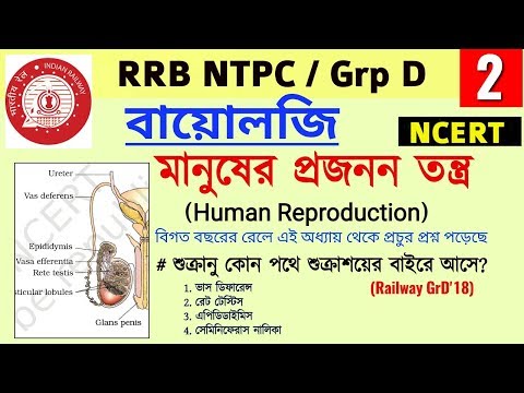 মানুষের জনন তন্ত্র| PART-1 | NCERT BIOLOGY| Railway Exam Special