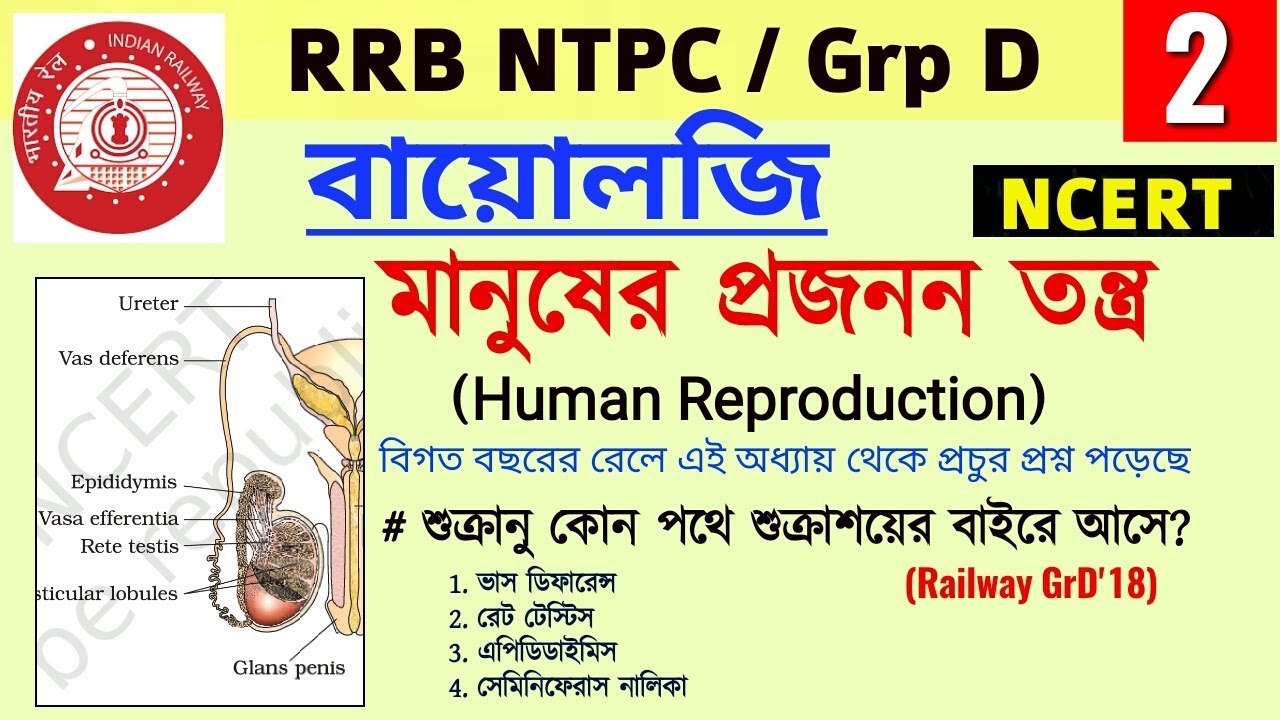 মানুষের জনন তন্ত্র| PART-1 | NCERT BIOLOGY| Railway Exam Special