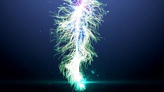 Particular Sea Creature ( Media Test)