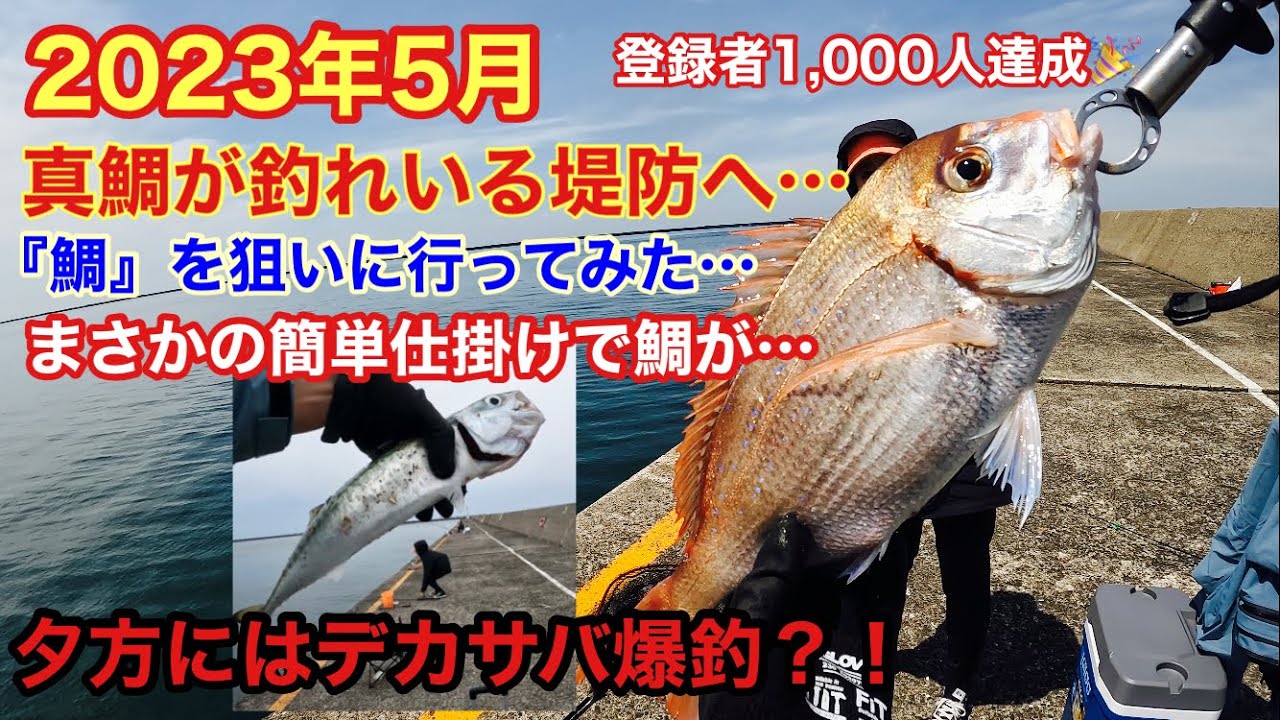 堤防から真鯛が釣れている釣り場へ…簡単仕掛けでまさかの鯛が？！デカサバも爆釣？！