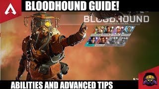 Apex Legends Bloodhound Abilities Guide & Tips and Tricks!