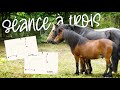 LIBERTÉ OBSTACLE AVEC MES TROIS PONEYS EN MÊME TEMPS - séance commentée