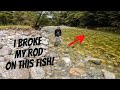 Big trip into flooded river to fish for brown trout part 2