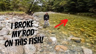 BIG Trip into Flooded River to Fish for BROWN TROUT [Part 2]