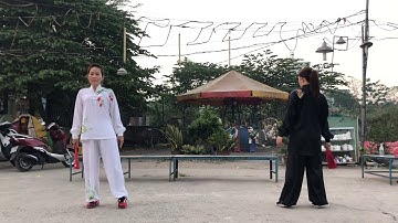 Thái cực phiến đối luyện