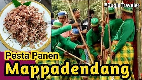 Tradisi Pesta Panen "Mappadendang" Tanah Bugis || Mohan Bugis Viral