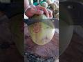 Amazing coconut cutting skills 🥥 #fruit #asmr