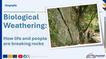 Biological Weathering, How life and people are breaking rocks!