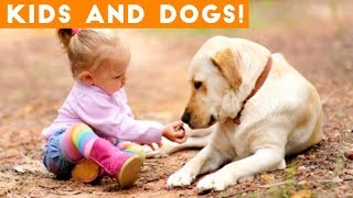 Most Adorable Dog and Baby Compilation Ever | Funny Pet Videos