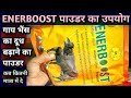 ENERBOOST POWDER||दूध बढ़ाने का पाउडर||कब कैसे कितनी मात्रा मे खिलाएं||Vet-Powder