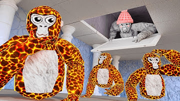 Gorilla Tag Pro VS 9 Hunters