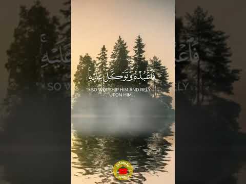 تلاوة جميلة القارئ محمود الحصري مقاطع قصيرة قرآن كريم حالات واتس آب 