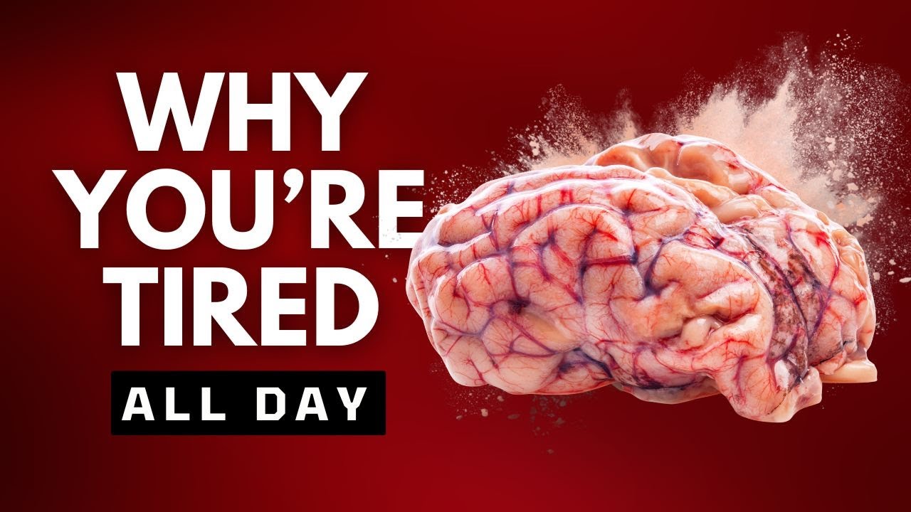 The Shocking Reason You're Always Tired (It's Not Just Sleep!) YouTube
