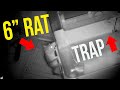 HUGE Rat INFESTATION...6" rats outsmarted STICKY TRAPS...Can we get them..?