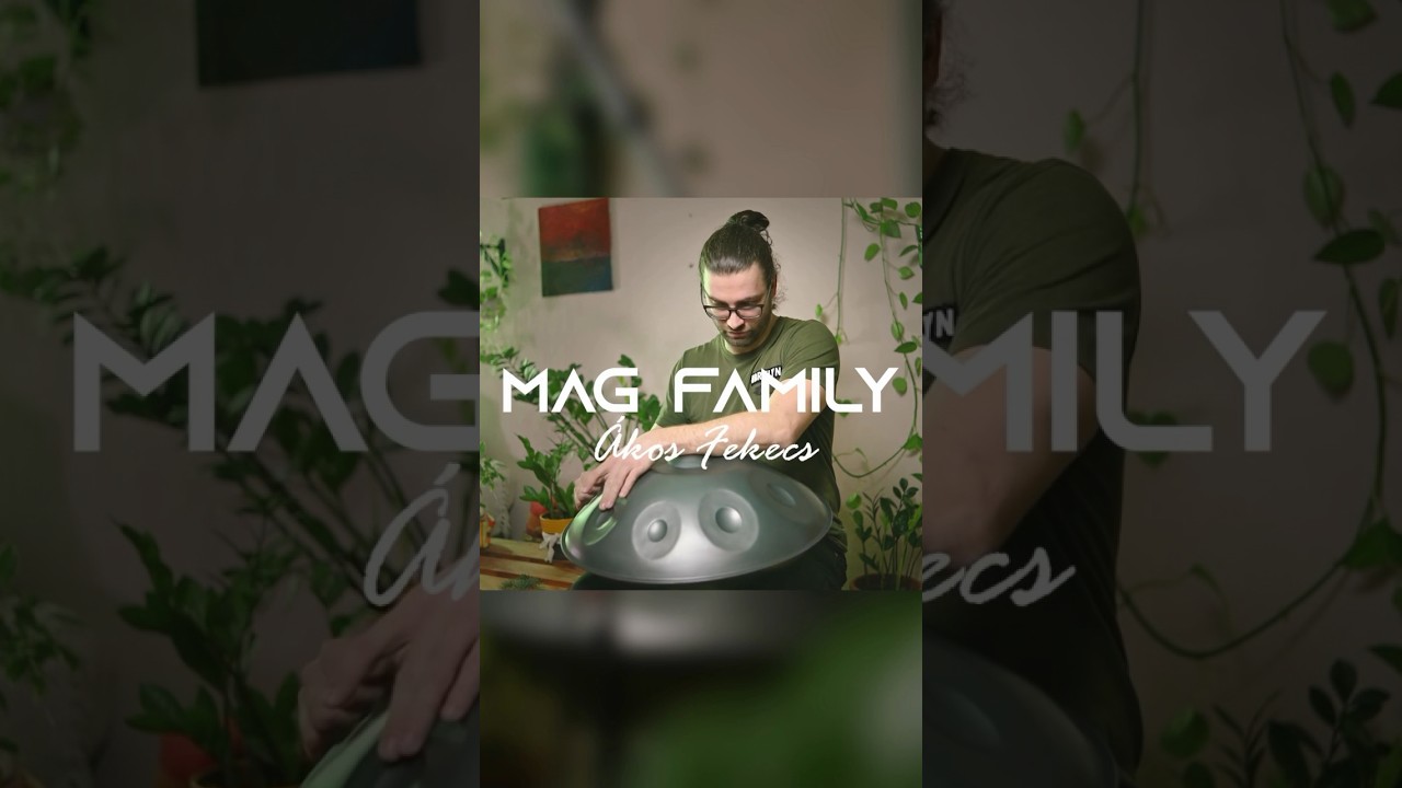 Ákos Fekecs / C Kurd Combinated 16 #handpan #handpanmusic #maginstruments