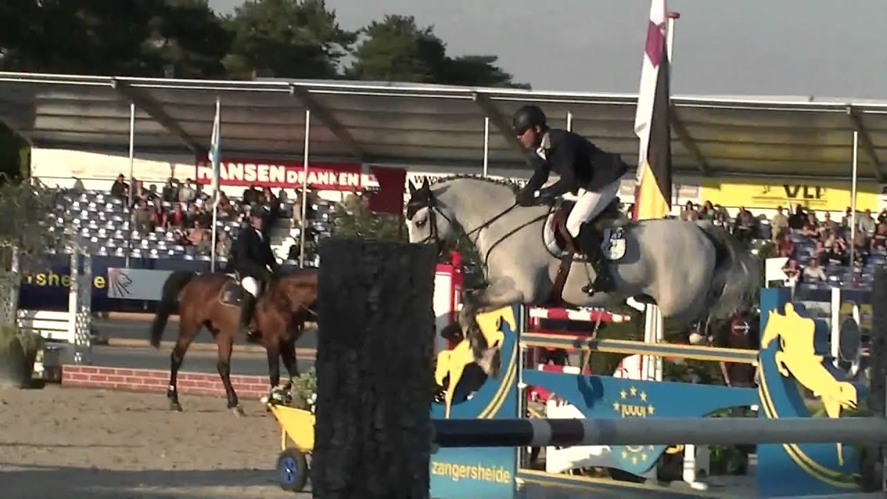 ♂ AD Untouchable- jumping stallion  (KWPN) by Hors La Loi II