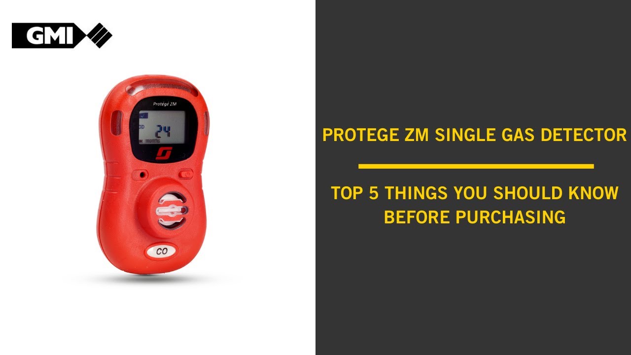 GMI Protégé ZM Top 5 Things You Should Know YouTube