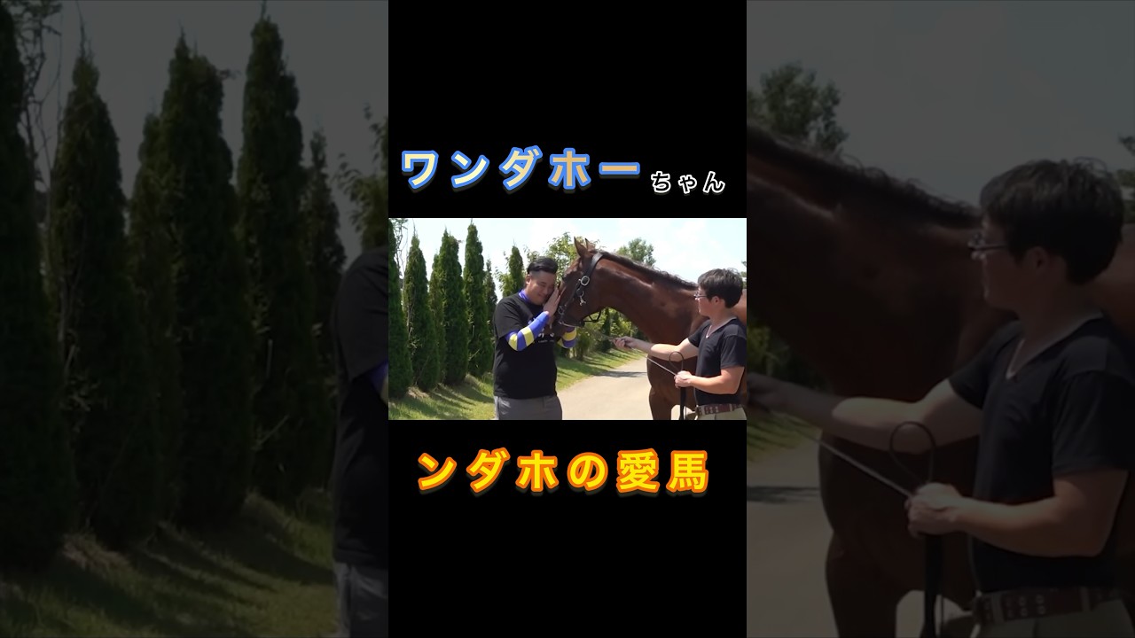 【癒し】ンダホの愛馬! #フィッシャーズ切り抜き #フィッシャーズ #シルクロード #モトキ #マサイ #ンダホ #ザカオ #ダーマ #馬 #競走馬 #shorts #short