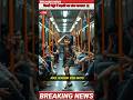 द ल ल म ट र म लड क क व यरल ड स Shorts DelhiMetro ViralDance SocialMediaTrend द ल ल म ट र म लड क क व यरल ड स Shorts DelhiMetro ViralDance SocialMediaTrend