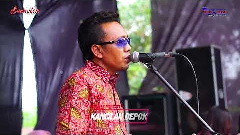 CAMELIA - MAYA - MARLIN - WEDDING SELVI & DEFRI - KANCILAN DEPOK LADOSA