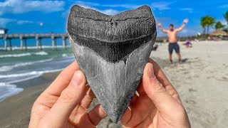 Scuba Diving For $1,000,000 Dollar Shark Tooth! (Will We Find The Record Breaking Tooth?)