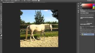 Flecken und Verschmutzungen einer Fotografie mit Photoshop CC entfernen screenshot 5