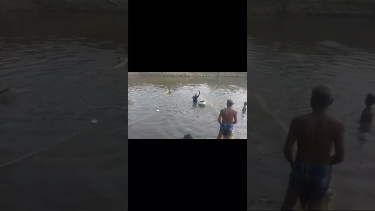 Balarampur garh ର ମାଛ ଧରିବା ବେଳ ର ଦୃଶ୍ୟ ❤❤❤