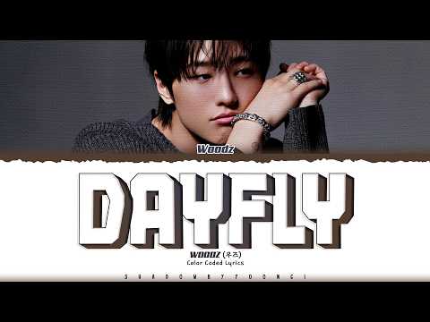 WOODZ 'Dayfly' Lyrics (우즈 하루살이 가사) [Color Coded Han_Rom_Eng] | ShadowByYoongi