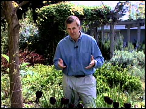 Terry Hershey - Simplicity
