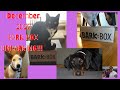 DECEMBER 2020 BARKBOX UnBoxing! Starring Nine &amp; Quatro!!