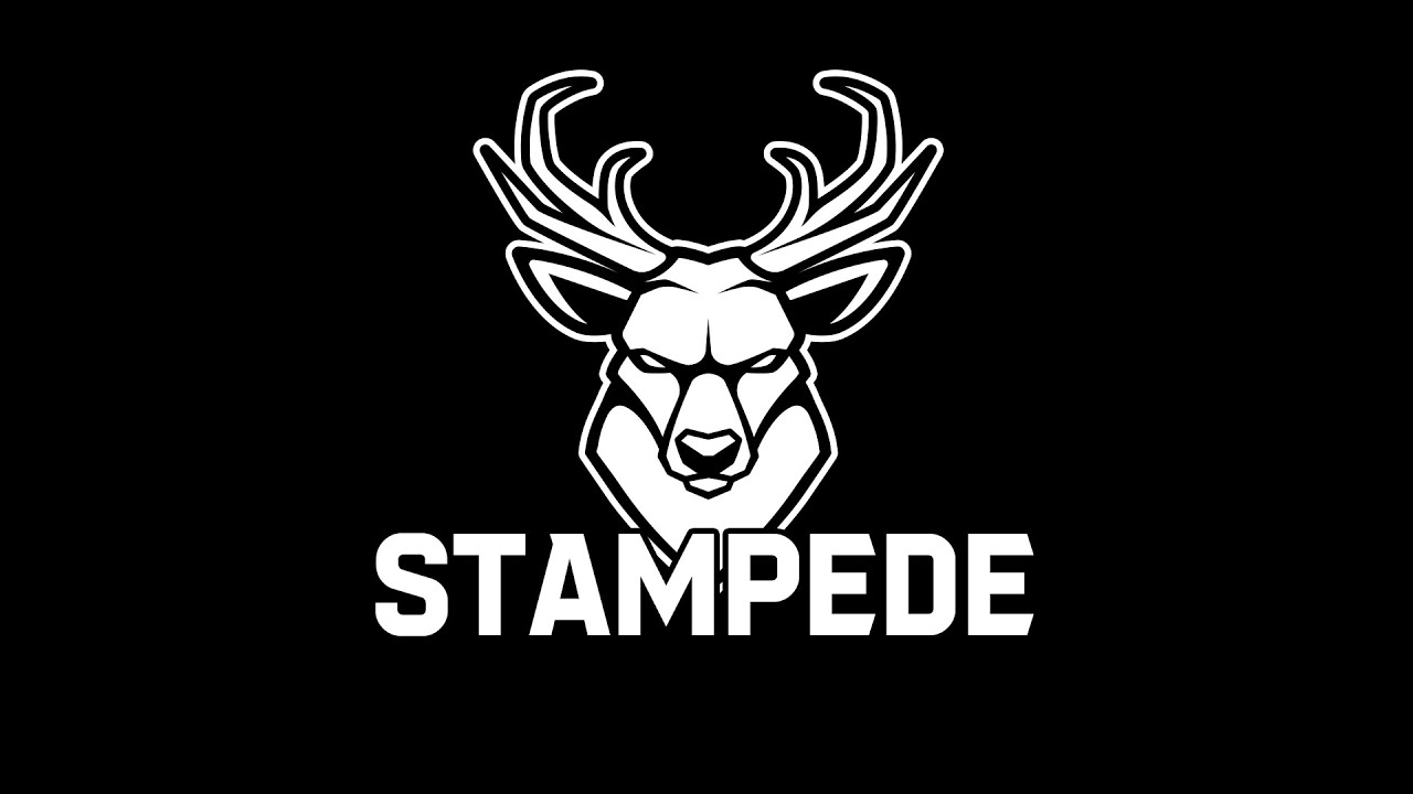 Titan Stampede Bag Demo