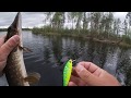 Ловля щуки в глухом коряжнике на новом озере!Воблеры Pontoon21 Bet-A-Shiner и Dexter Minnow 71SP!