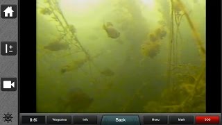 Aqua-Vu Underwater Camera 