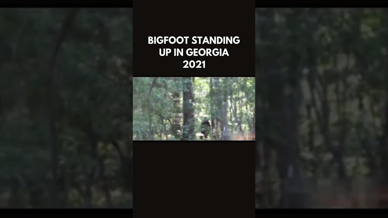 Bigfoot standing up in Georgia, 2021 #publishtoall