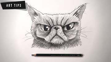 How To Draw A Grumpy Cat | For Beginners