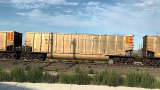 BNSF #3372 Lead’s The Empty Coal Train Through Security & Widefield, CO 7/25/2026.