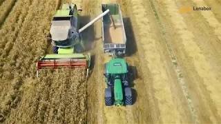 Lenabox - Kvalitetna Slama Za Nastilj In Kot Dodatek V Krmnem Obroku