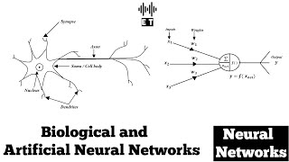 Biological and Artificial Neural Network | Basic Concepts | Neural Networks screenshot 5