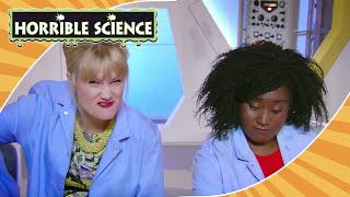 Horrible Science - Disgusting Science | #HalloweenMonth | Science for Kids