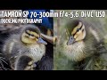 Nikon d5300 + Tamron SP 70-300mm f/4-5.6 Di VC USD (duckling photography)