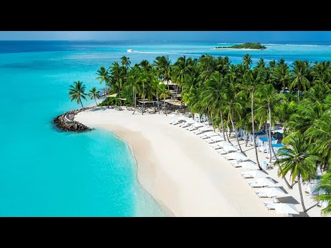 Video: Beste stranden in de Filippijnen