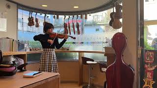 Karl hofner バイオリン｜カールヘフナー バイオリン #316