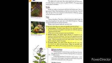 Class 6 Science | Chapter 8 Plants (Form And Function) | Part 1 |#HariomRajput |