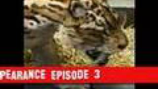 primeval series 1 and 2 creatures