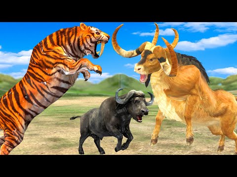 10 Giant Tiger