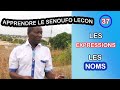 Apprendre le snoufo leon 37