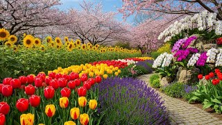 Nature’s Masterpieces: The Most Beautiful Flowers Worldwide