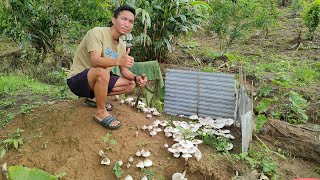 Kahinkho a Papah🍄live a kaha mu napen ahite🤣