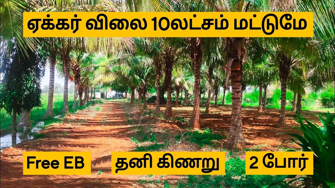 (SOLD OUT)✅ஏக்கர் விலை 10லட்சம் மட்டுமே😍தனி கிணறு✅Free EB✅மொத்தம் 15ஏக்கர் விற்பனைக்கு
