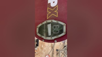 Wine Grapes Separated from Stems